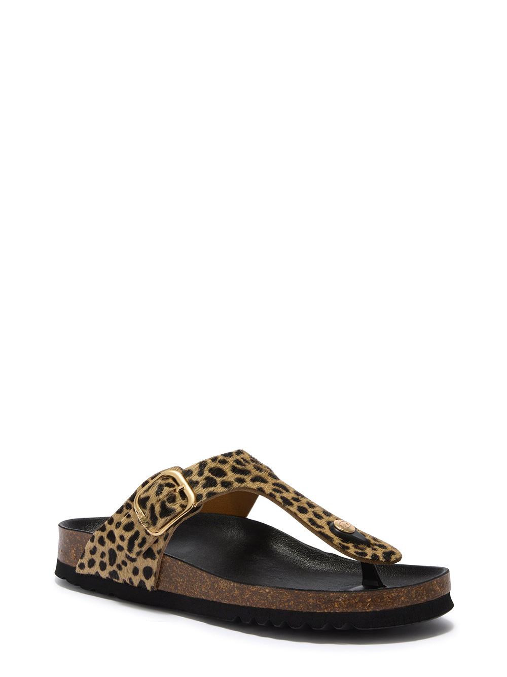 SCHOLL ANAIS LEAPON