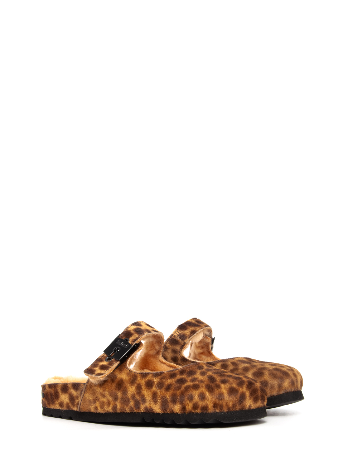 SCHOLL KAREN